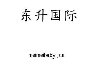 东升国际集团
